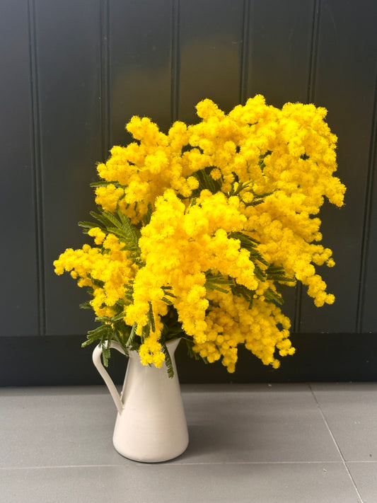 Mimosa Bunch