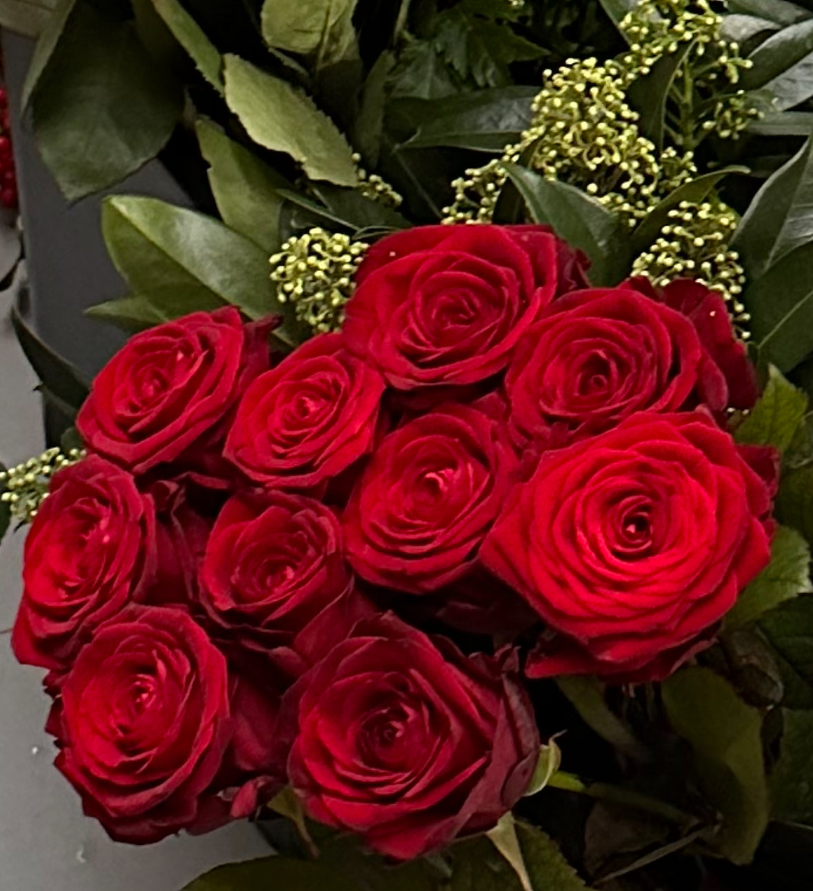 Roses are …..